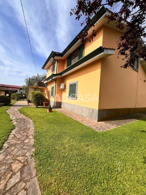appartamento in affitto a Velletri