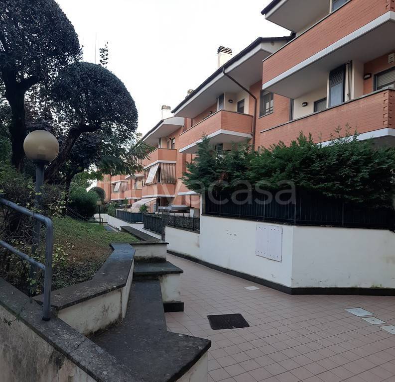 appartamento in affitto a Velletri