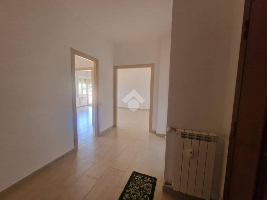 appartamento in affitto a Velletri