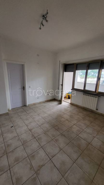 appartamento in affitto a Velletri