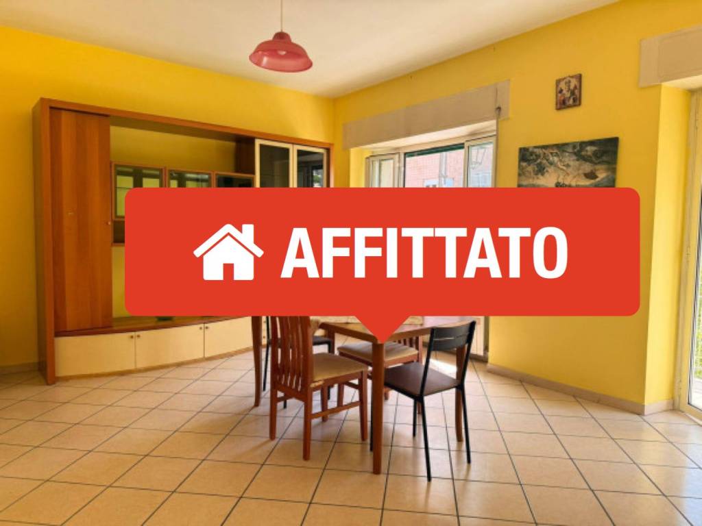 appartamento in affitto a Velletri