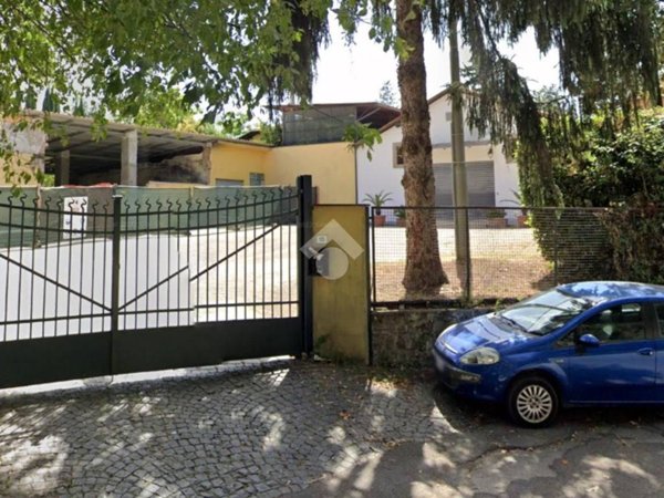 negozio in affitto a Velletri