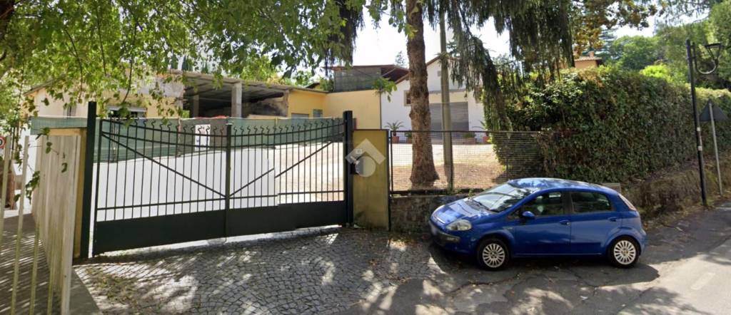 negozio in affitto a Velletri