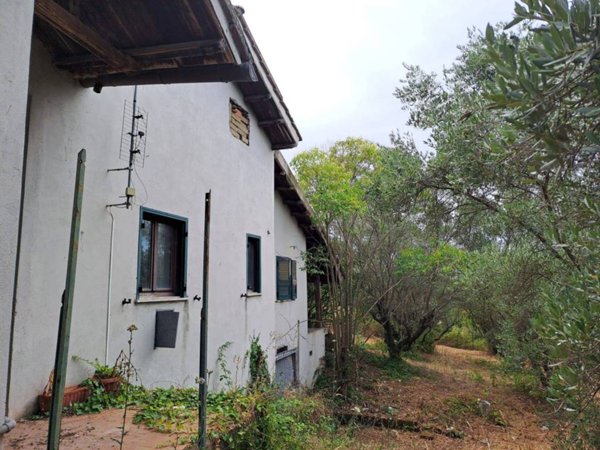 appartamento in affitto a Velletri