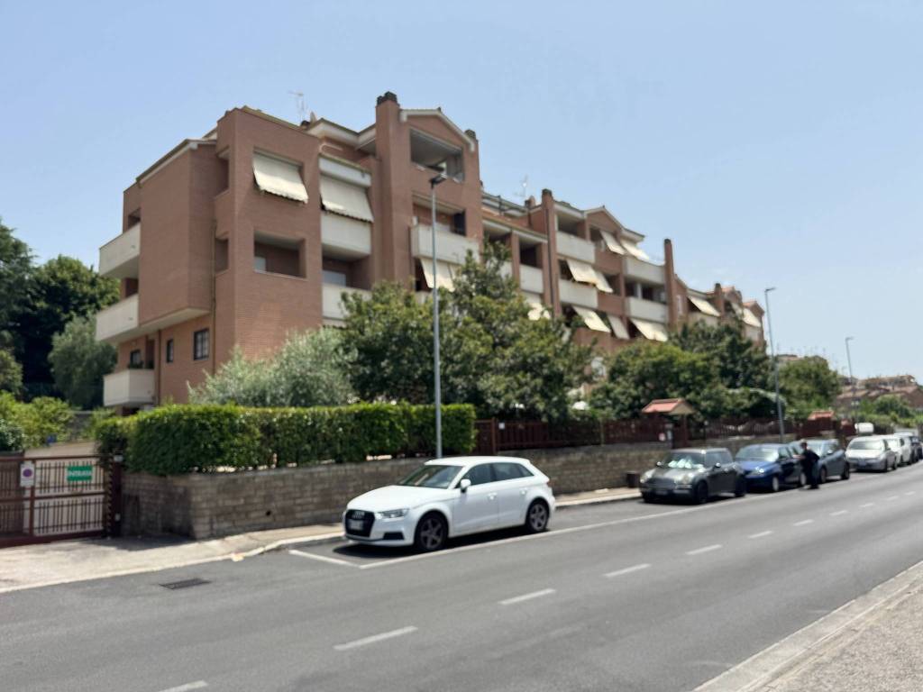 appartamento in affitto a Velletri