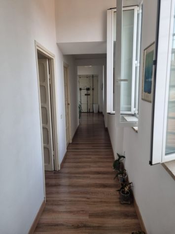 appartamento in affitto a Velletri