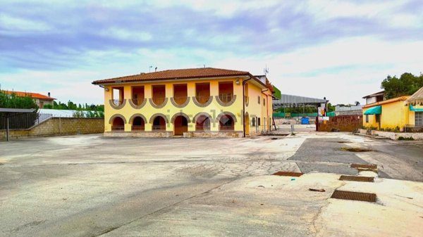 ufficio in affitto a Velletri