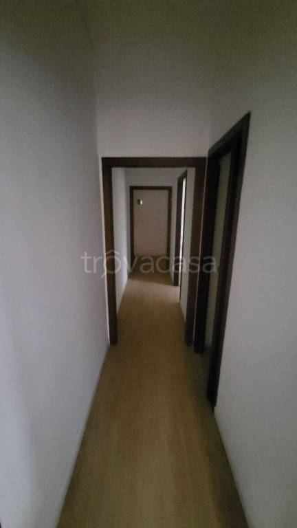 appartamento in affitto a Velletri