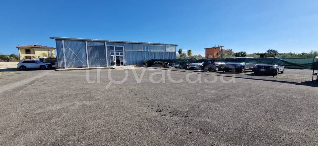 appartamento in affitto a Velletri