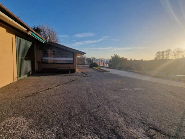 negozio in affitto a Velletri