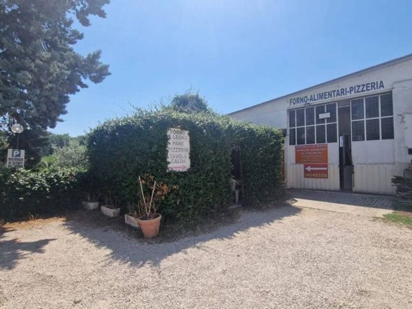 negozio in affitto a Velletri