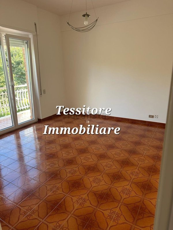 appartamento in affitto a Velletri