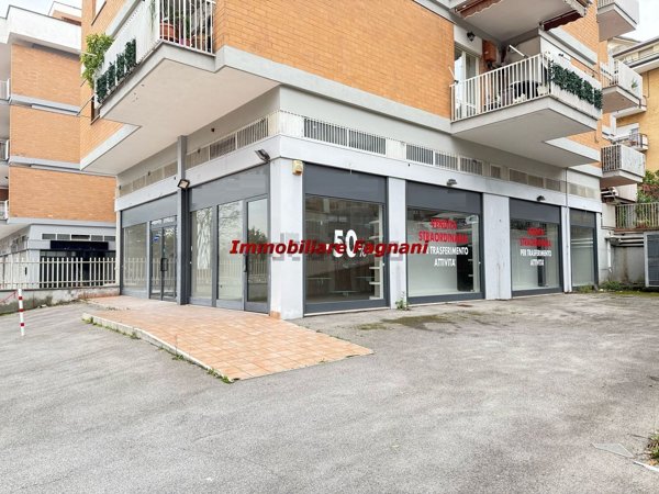 locale commerciale in affitto a Velletri