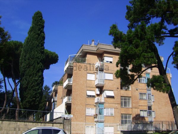 appartamento in affitto a Velletri