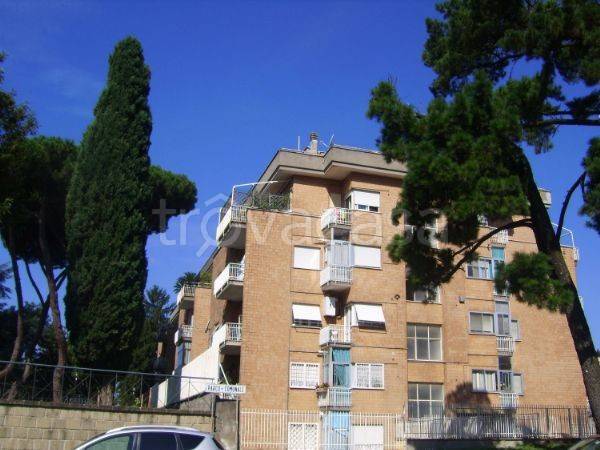 appartamento in affitto a Velletri