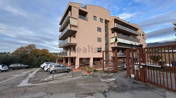 appartamento in affitto a Velletri
