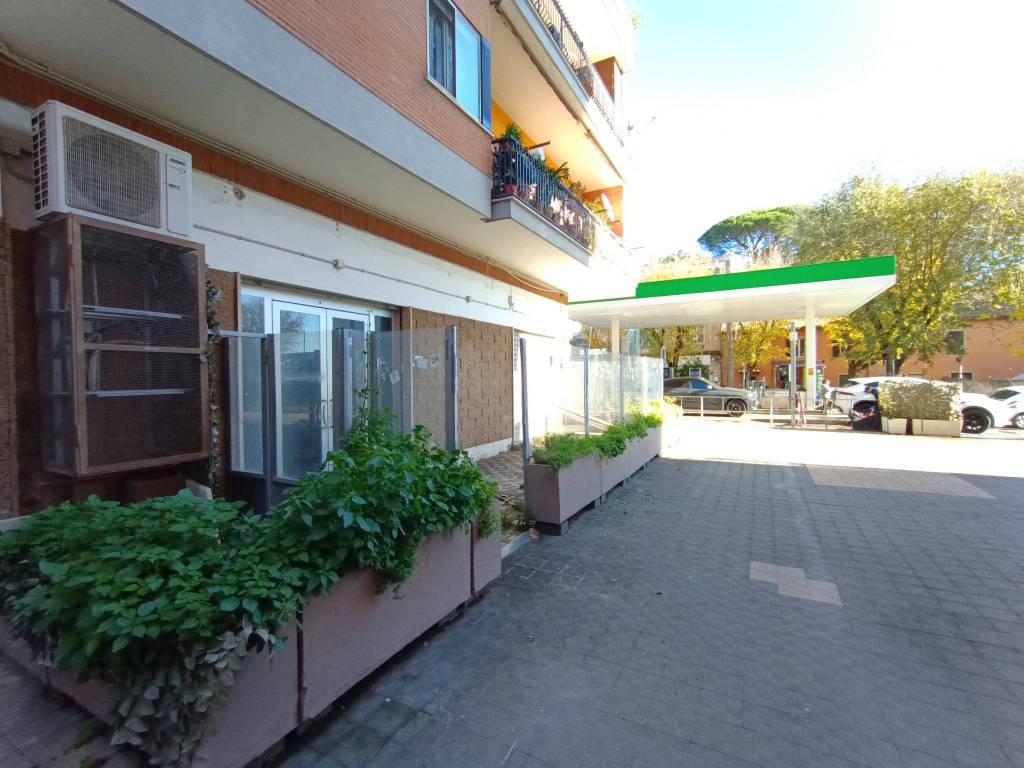negozio in affitto a Velletri