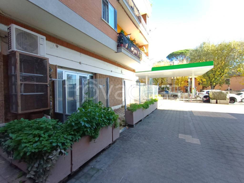 negozio in affitto a Velletri