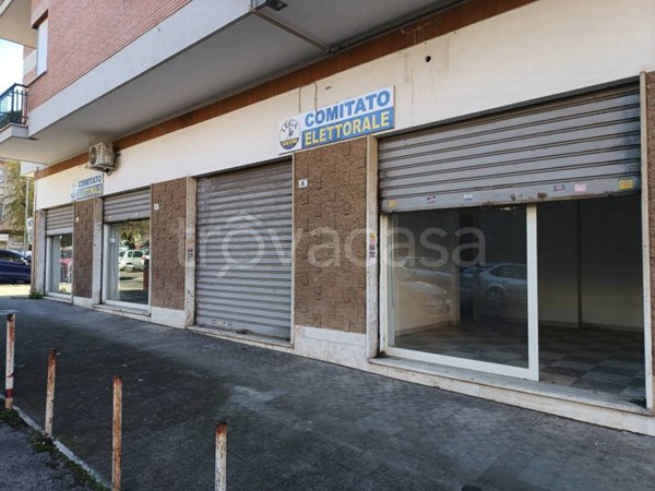 negozio in affitto a Velletri