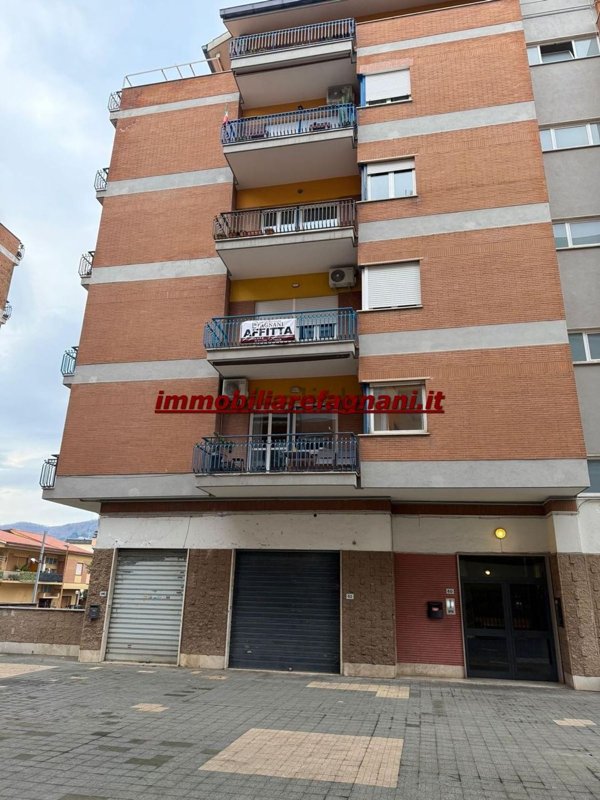 appartamento in affitto a Velletri