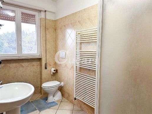 appartamento in affitto a Velletri