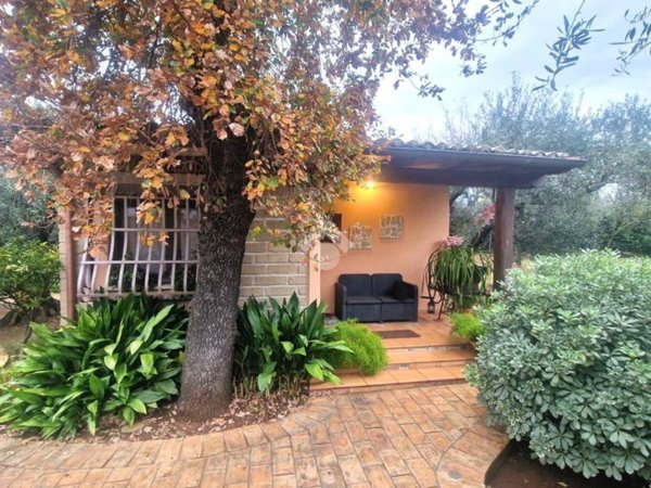 appartamento in affitto a Velletri