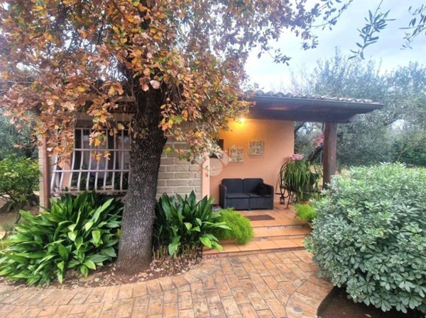 appartamento in affitto a Velletri