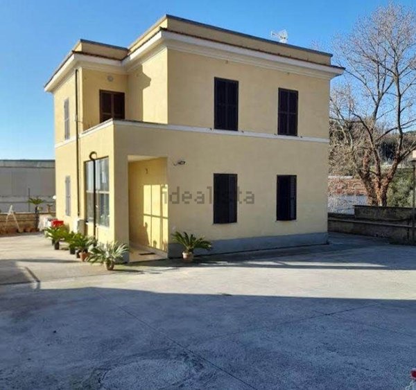 appartamento in affitto a Velletri