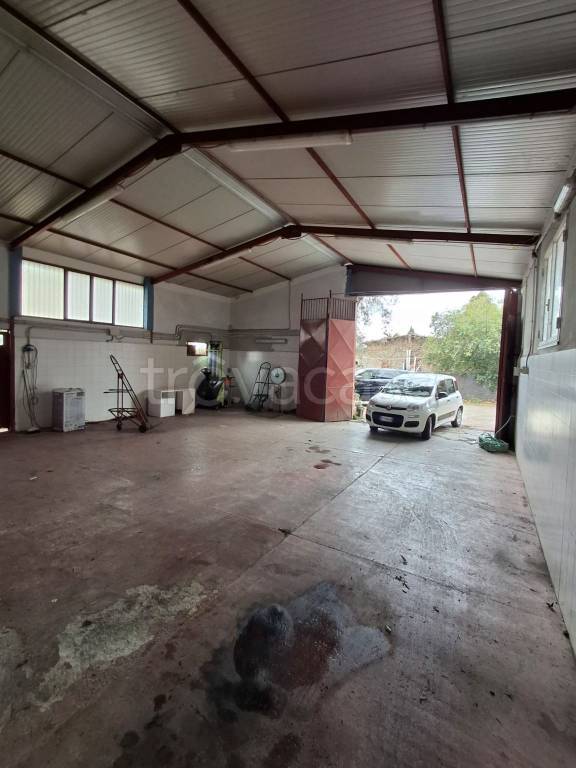 locale commerciale in affitto a Velletri