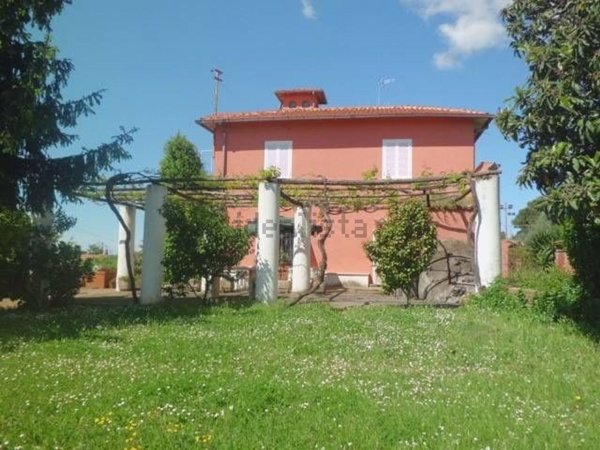 negozio in affitto a Velletri