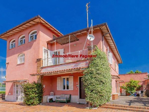 negozio in affitto a Velletri