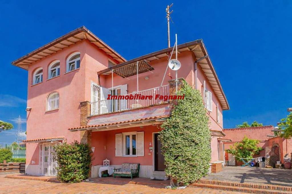 negozio in affitto a Velletri