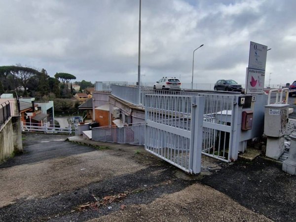 negozio in affitto a Velletri