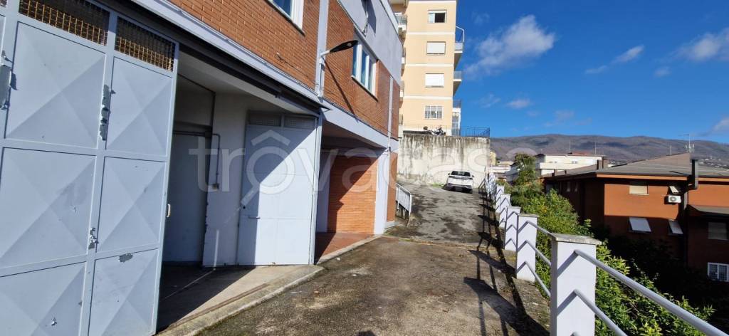 negozio in affitto a Velletri