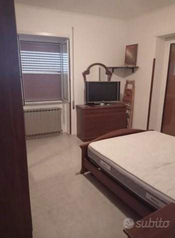 appartamento in affitto a Velletri