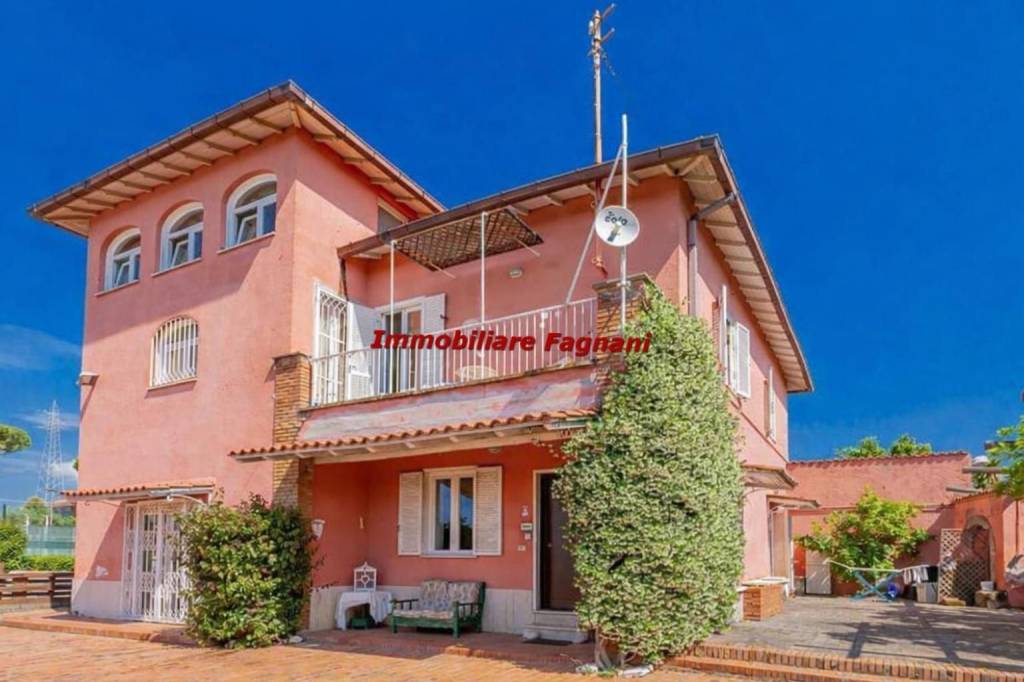 negozio in affitto a Velletri