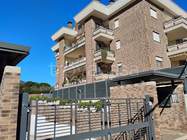 appartamento in affitto a Velletri