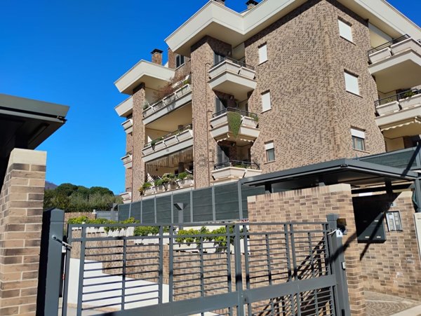 appartamento in affitto a Velletri