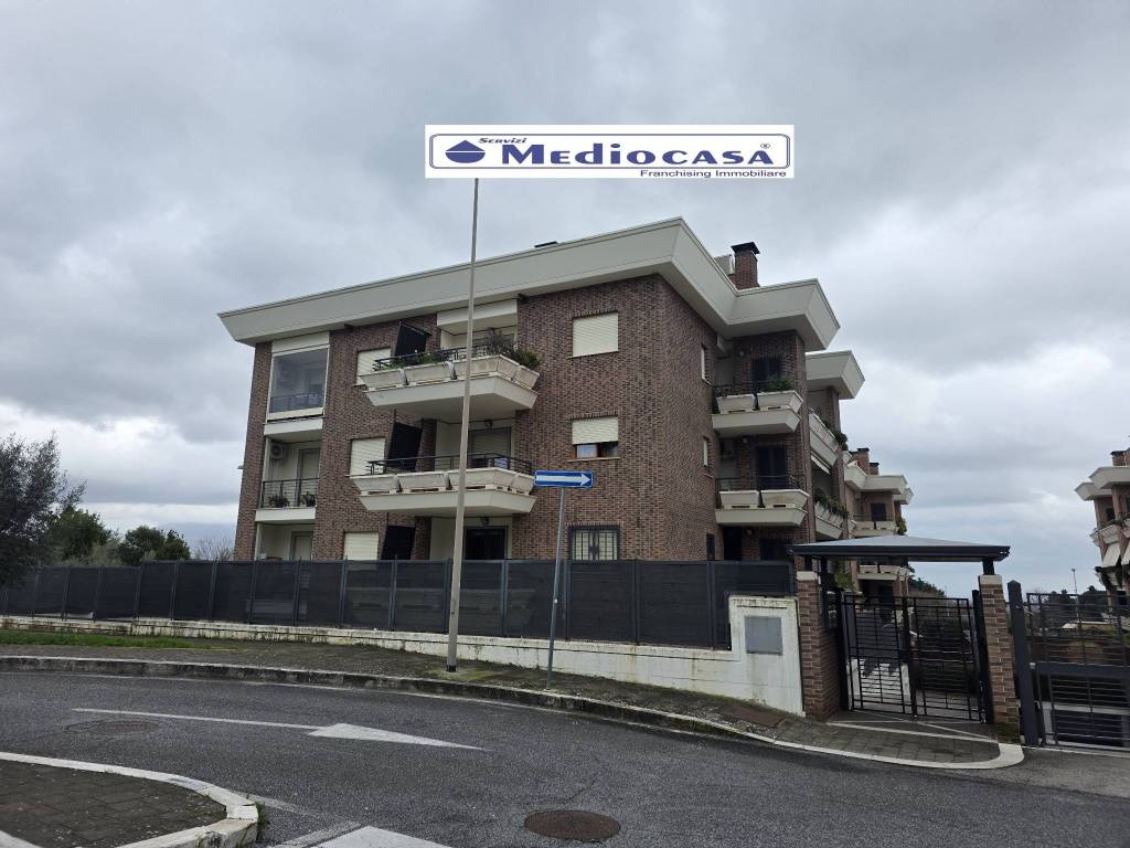 appartamento in affitto a Velletri