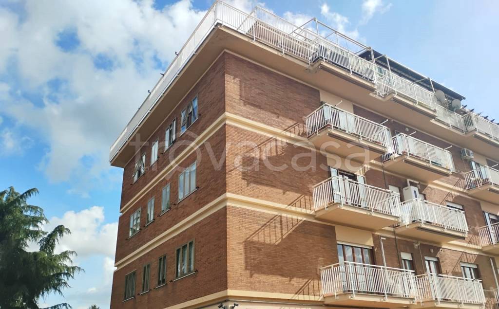 appartamento in affitto a Velletri