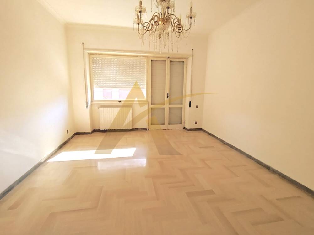 appartamento in affitto a Velletri