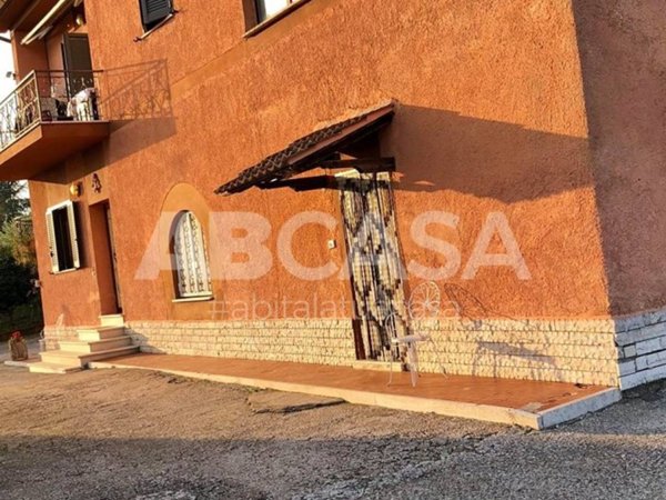 appartamento in affitto a Velletri