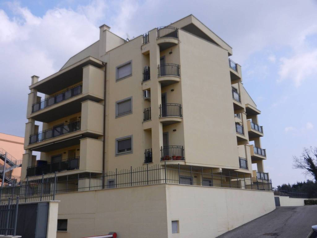 appartamento in affitto a Velletri