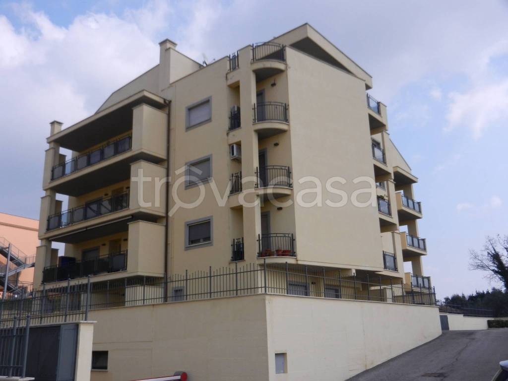 appartamento in affitto a Velletri