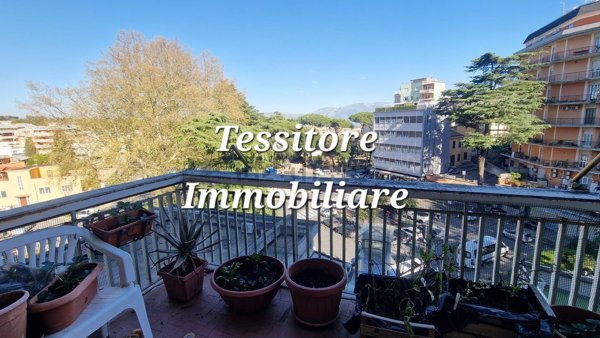 appartamento in affitto a Velletri