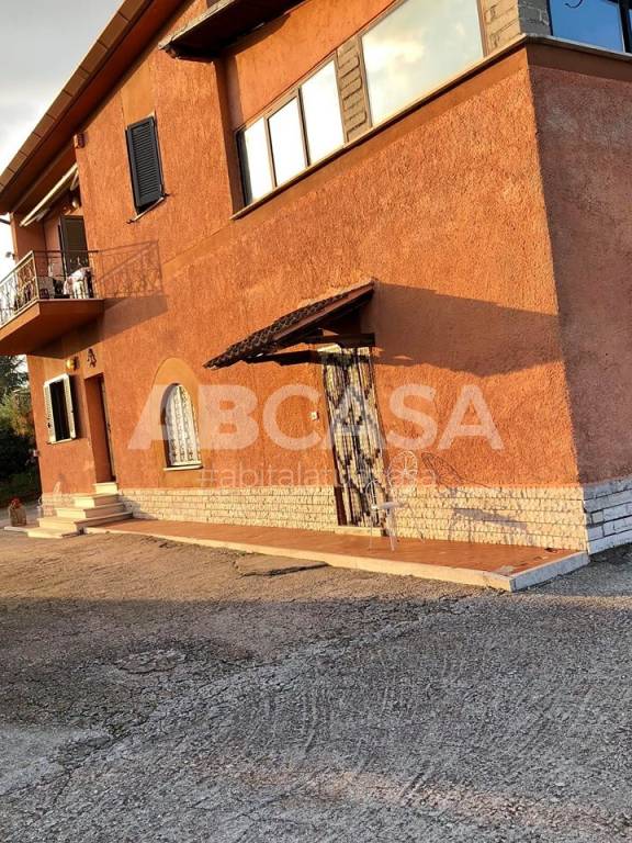 appartamento in affitto a Velletri