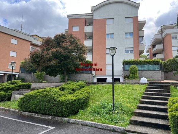 appartamento in affitto a Velletri