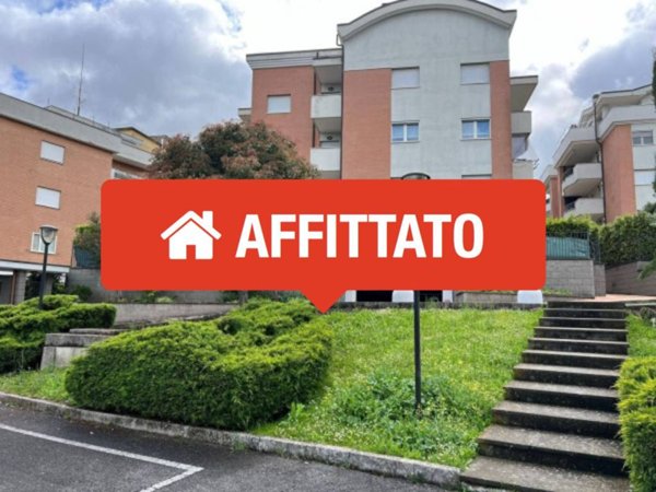 appartamento in affitto a Velletri
