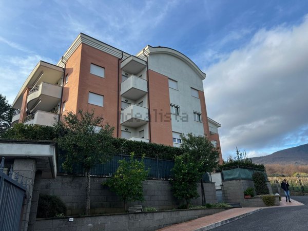 appartamento in affitto a Velletri