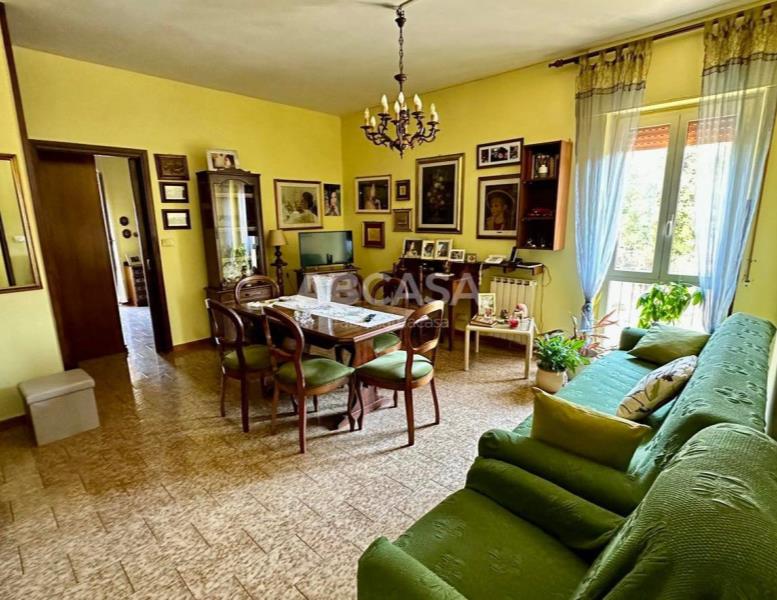 appartamento in affitto a Velletri